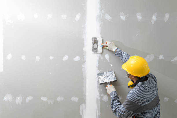 Professional Mold Removal in Rio Grande, OH