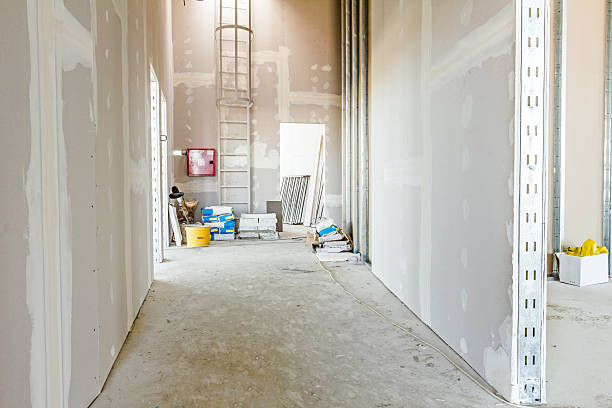Best Industrial Mold Remediation  in Rio Grande, OH