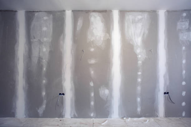 Best Dehumidification Services  in Rio Grande, OH